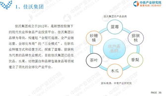 2019年現(xiàn)代農(nóng)業(yè)市場調(diào)研及前景研究報告（簡版）