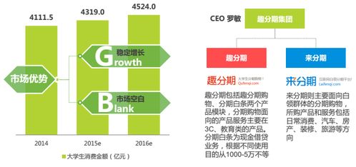 分期電商市場深度調(diào)研 現(xiàn)狀、機(jī)遇與挑戰(zhàn)